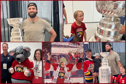 Florida panthers