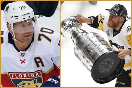 Hornqvist cup