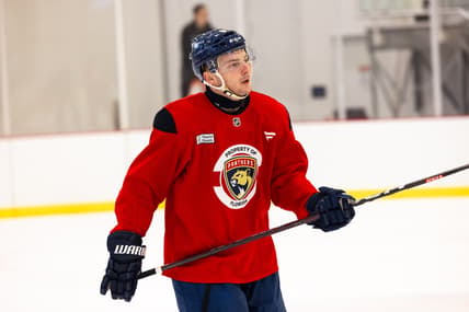 Florida panthers