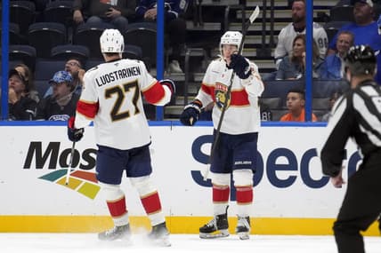 Florida panthers