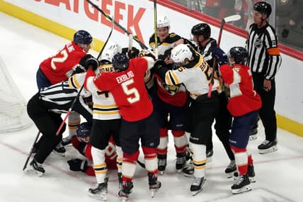 Panthers bruins