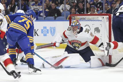 Florida panthers