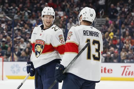 Florida panthers