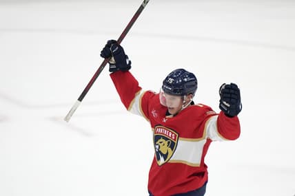 Florida panthers