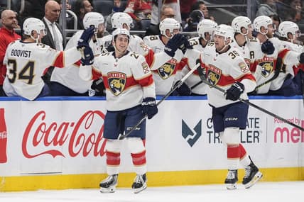 Florida panthers