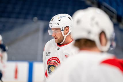 Florida panthers