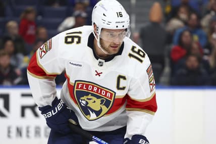 Barkov panthers
