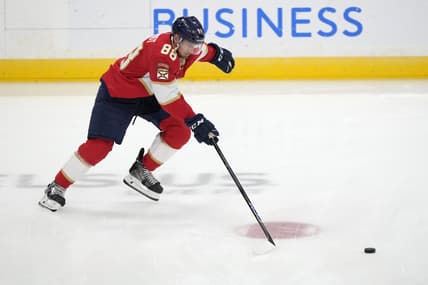 Florida panthers