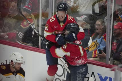 Florida panthers