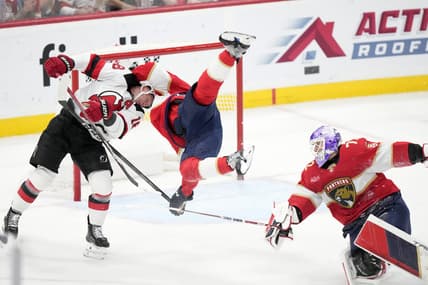 Florida panthers