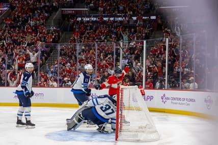 Florida panthers