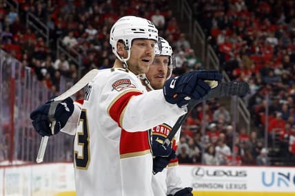 Florida panthers