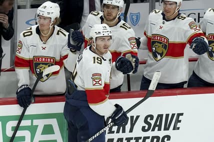 Florida panthers
