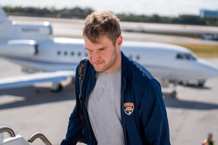 Florida panthers