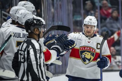 Florida panthers