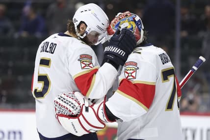 Florida panthers