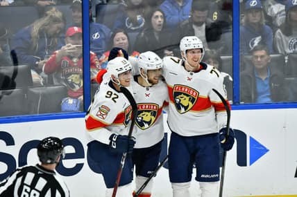 Florida panthers