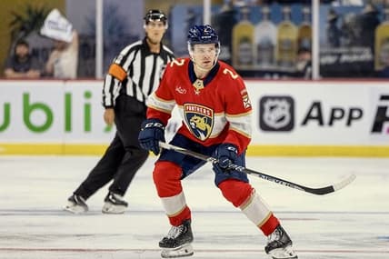 Panthers avalanche