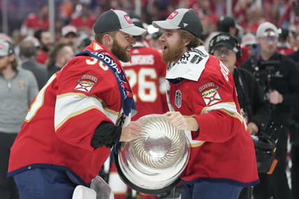 Florida panthers