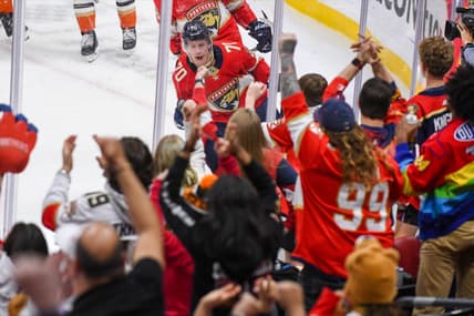 Florida panthers