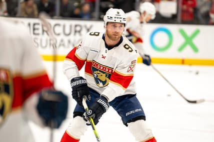 Panthers kings