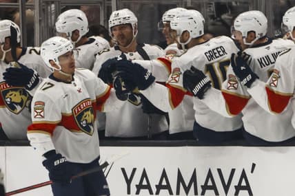 Florida panthers