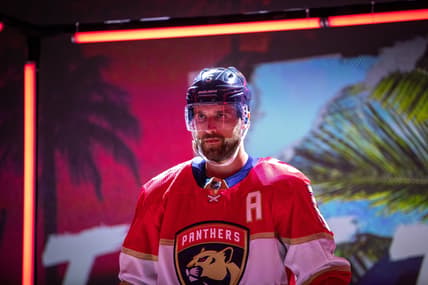 Panthers sharks