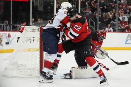 Florida panthers