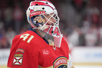 Florida panthers