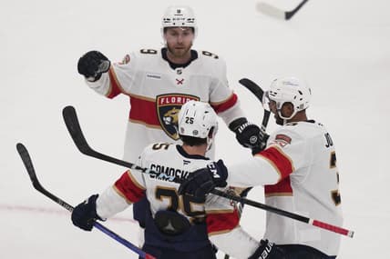Florida panthers