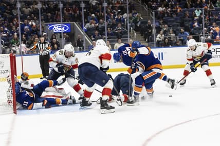 Florida panthers
