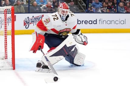Florida panthers