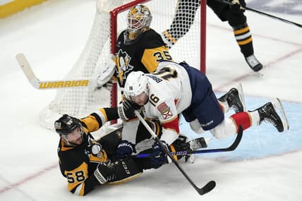 Panthers penguins