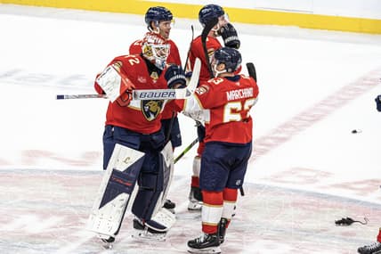 Florida panthers