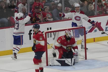 Florida panthers