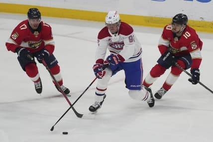 Panthers canadiens