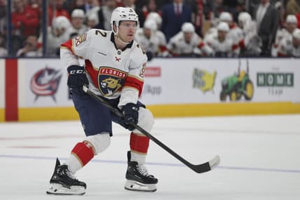Florida panthers