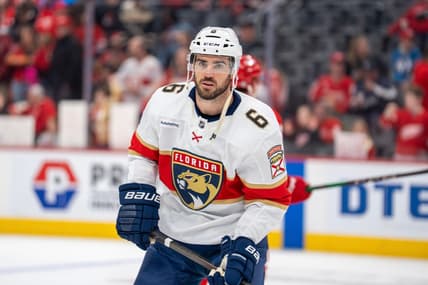 Florida panthers