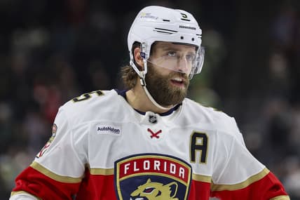 Ekblad panthers