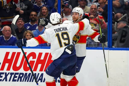 Panthers lightning