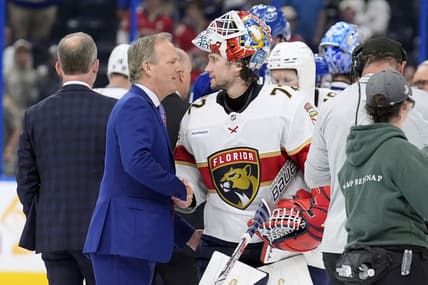 Florida panthers