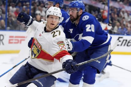 Florida panthers marchand
