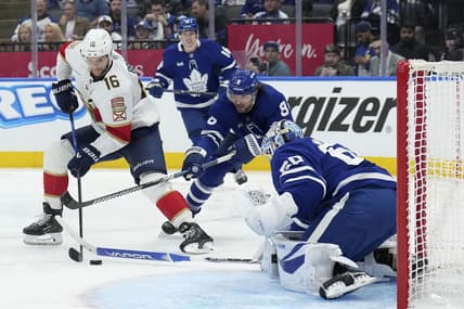 Leafs panthers