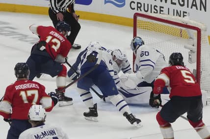 Florida panthers