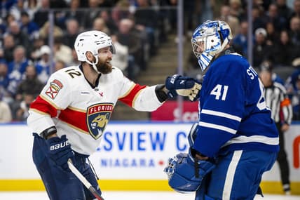 Florida panthers
