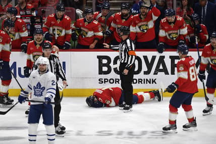Florida panthers