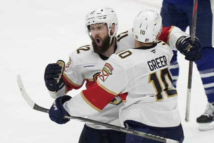 Florida panthers