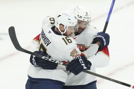 Florida panthers