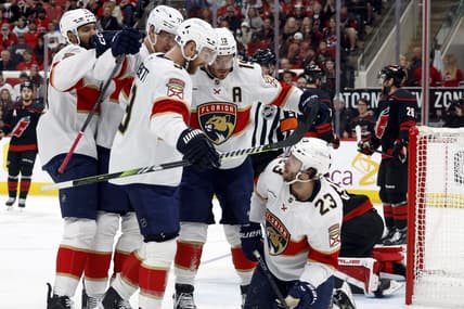Florida panthers