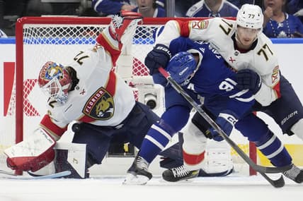 Florida panthers
